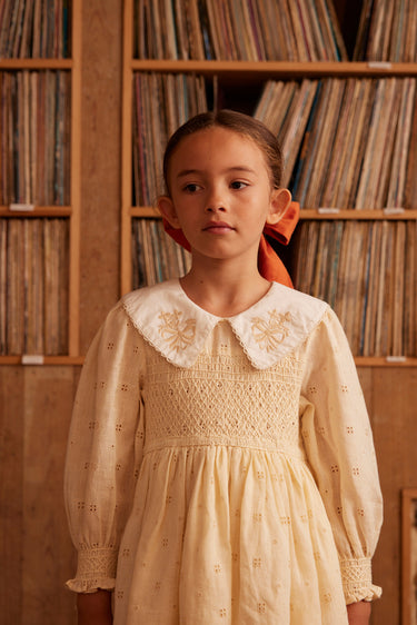 Carey Dress, Broderie