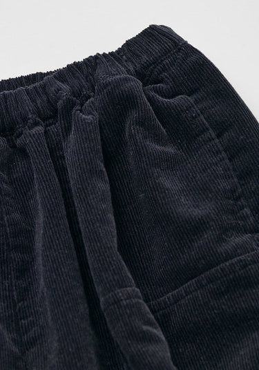 Alber Corduroy Pants Navy