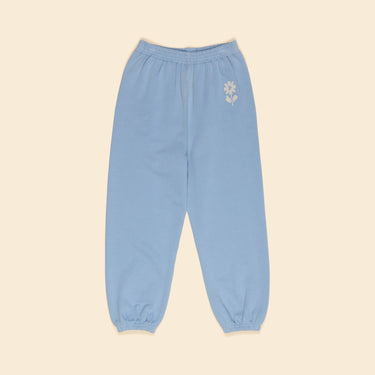Jenny Jogger, Book Blue