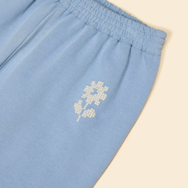 Jenny Jogger, Book Blue