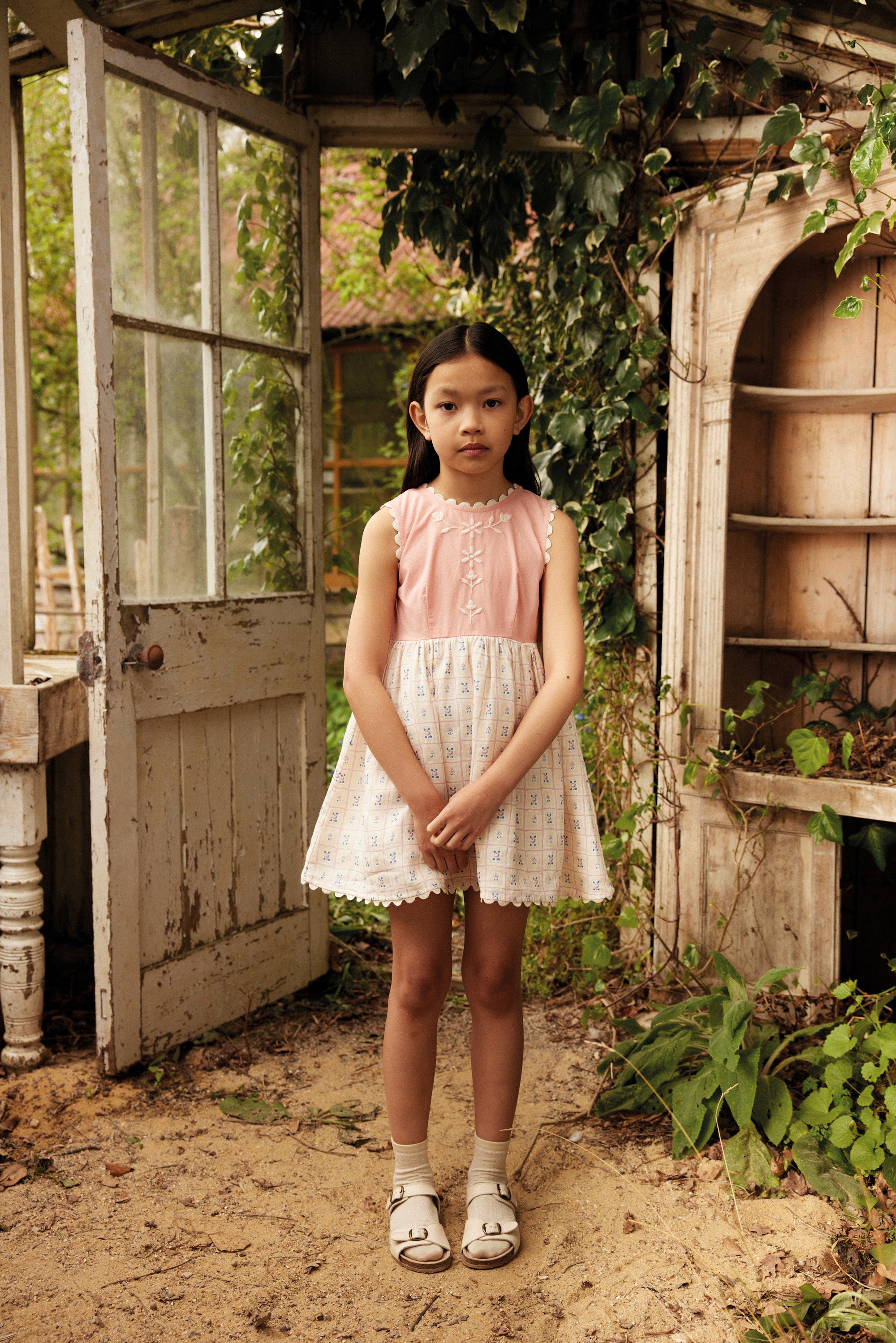 Apolina – Willkie's