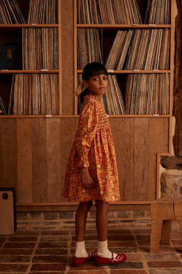 Mia Dress, Autumn Harvest Floral