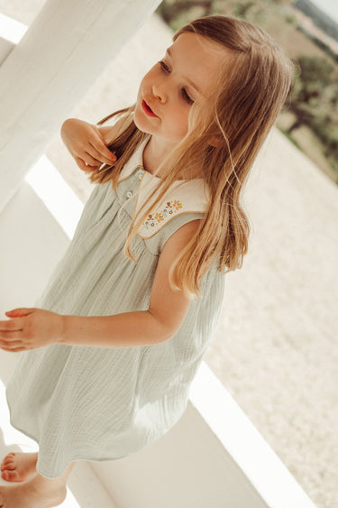 Josefa Embroidered Dress, Quartz