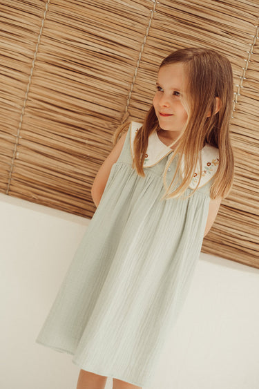 Josefa Embroidered Dress, Quartz