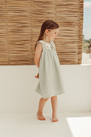 Josefa Embroidered Dress, Quartz