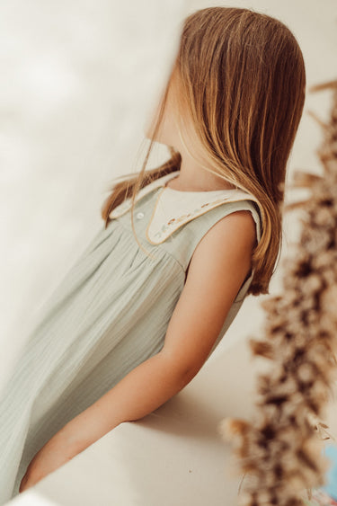 Josefa Embroidered Dress, Quartz