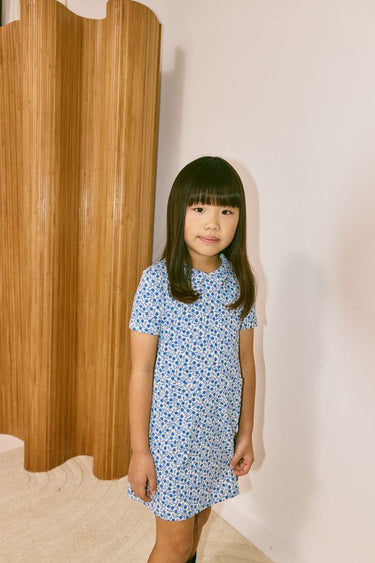 Twiggy Dress, Blue Ribbon Lisse Fields